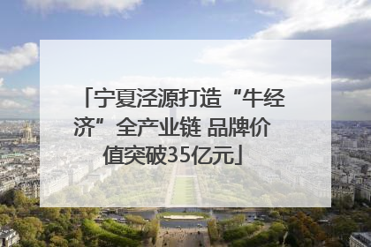 宁夏泾源打造“牛经济”全产业链 品牌价值突破35亿元