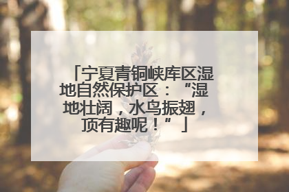 宁夏青铜峡库区湿地自然保护区：“湿地壮阔，水鸟振翅，顶有趣呢！”