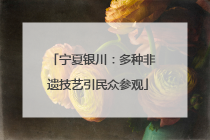 宁夏银川：多种非遗技艺引民众参观