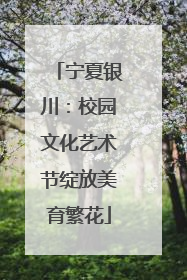 宁夏银川：校园文化艺术节绽放美育繁花