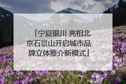 宁夏银川 亮相北京石景山开启城市品牌立体推介新模式