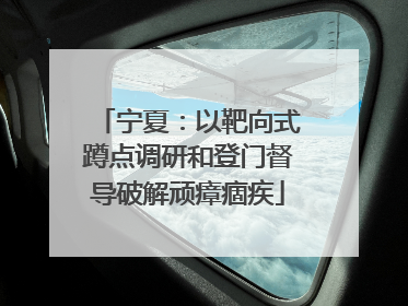 宁夏：以靶向式蹲点调研和登门督导破解顽瘴痼疾