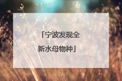 宁波发现全新水母物种