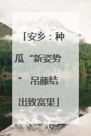 安乡：种瓜“新姿势” 吊藤结出致富果