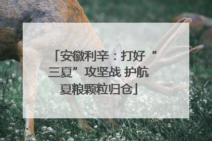 安徽利辛：打好“三夏”攻坚战 护航夏粮颗粒归仓