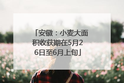 安徽：小麦大面积收获期在5月26日至6月上旬