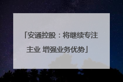 安通控股：将继续专注主业 增强业务优势