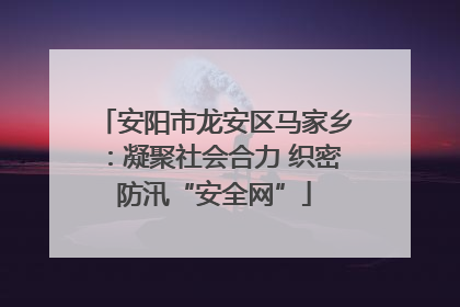 安阳市龙安区马家乡：凝聚社会合力 织密防汛“安全网”