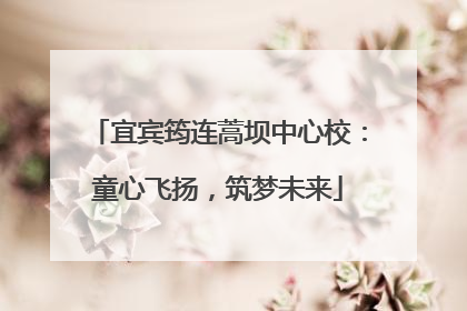 宜宾筠连蒿坝中心校：童心飞扬，筑梦未来
