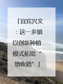 宜宾兴文：这一乡镇以创新种植模式拓宽“增收路”