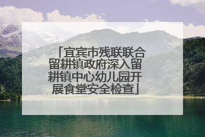 宜宾市残联联合留耕镇政府深入留耕镇中心幼儿园开展食堂安全检查