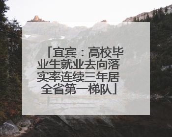 宜宾：高校毕业生就业去向落实率连续三年居全省第一梯队