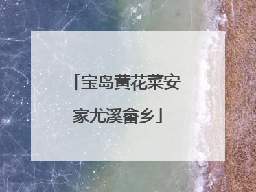 宝岛黄花菜安家尤溪畲乡