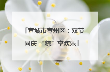宣城市宣州区：双节同庆 “粽”享欢乐