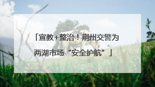 宣教+整治！荆州交警为两湖市场“安全护航”