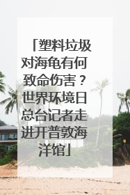 塑料垃圾对海龟有何致命伤害？世界环境日总台记者走进开普敦海洋馆