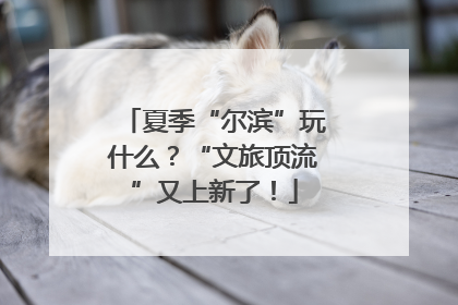 夏季“尔滨”玩什么？“文旅顶流”又上新了！