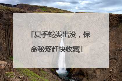 夏季蛇类出没，保命秘笈赶快收藏