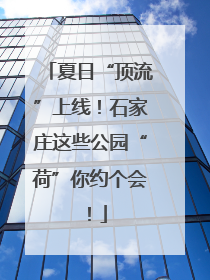 夏日“顶流”上线！石家庄这些公园“荷”你约个会！