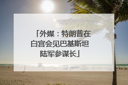 外媒：特朗普在白宫会见巴基斯坦陆军参谋长