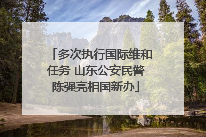 多次执行国际维和任务 山东公安民警陈强亮相国新办
