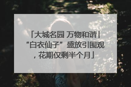 大城名园 万物和谐│“白衣仙子”盛放引围观，花期仅剩半个月
