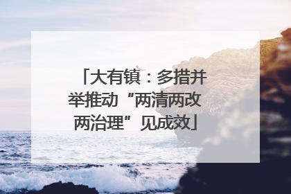 大有镇：多措并举推动“两清两改两治理”见成效