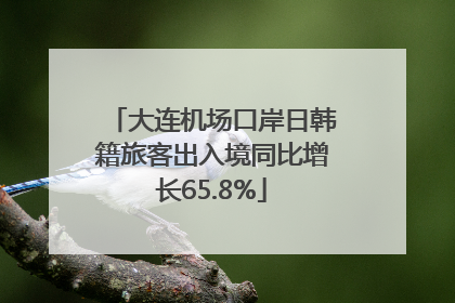 大连机场口岸日韩籍旅客出入境同比增长65.8%
