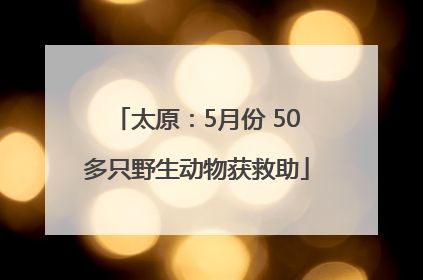 太原：5月份 50多只野生动物获救助