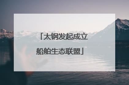 太钢发起成立船舶生态联盟