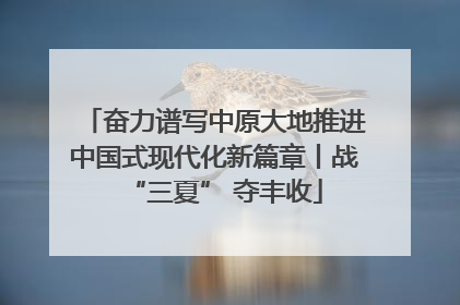 奋力谱写中原大地推进中国式现代化新篇章丨战“三夏” 夺丰收