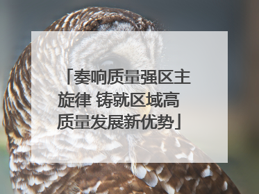 奏响质量强区主旋律 铸就区域高质量发展新优势