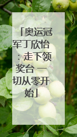 奥运冠军丁欣怡：走下领奖台 一切从零开始