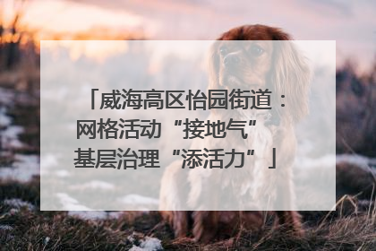 威海高区怡园街道：网格活动“接地气” 基层治理“添活力”