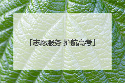 志愿服务 护航高考