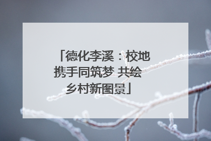 德化李溪：校地携手同筑梦 共绘乡村新图景