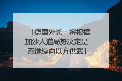 德国外长：将根据加沙人道局势决定是否继续向以方供武