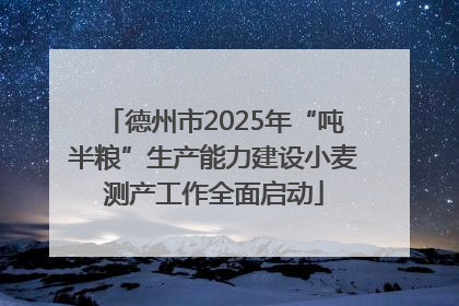 德州市2025年“吨半粮”生产能力建设小麦测产工作全面启动