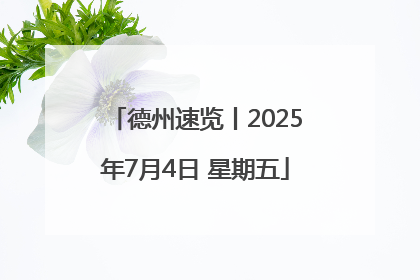 德州速览丨2025年7月4日 星期五