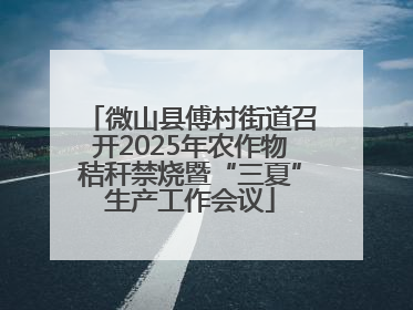 微山县傅村街道召开2025年农作物秸秆禁烧暨“三夏”生产工作会议