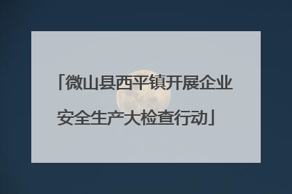 微山县西平镇开展企业安全生产大检查行动