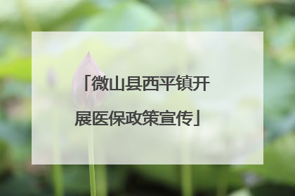 微山县西平镇开展医保政策宣传