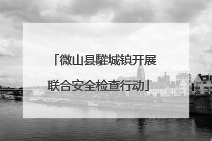微山县驩城镇开展联合安全检查行动