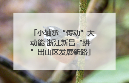 小轴承“传动”大动能 浙江新昌“拼”出山区发展新路