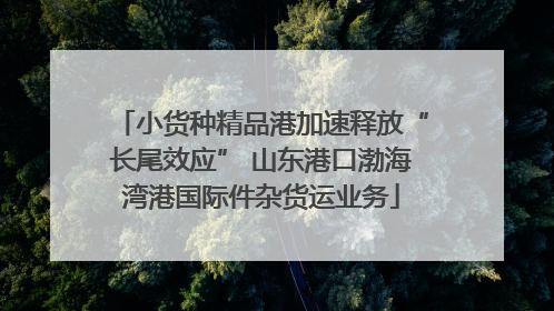 小货种精品港加速释放“长尾效应” 山东港口渤海湾港国际件杂货运业务