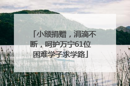 小额捐赠，涓滴不断，呵护万宁61位困难学子求学路