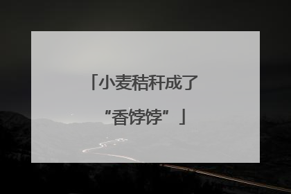 小麦秸秆成了“香饽饽”