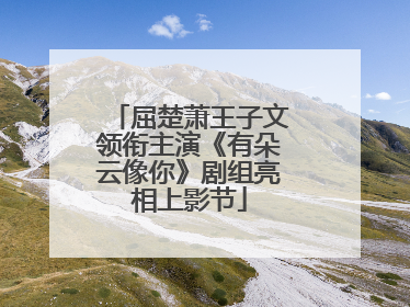 屈楚萧王子文领衔主演《有朵云像你》剧组亮相上影节