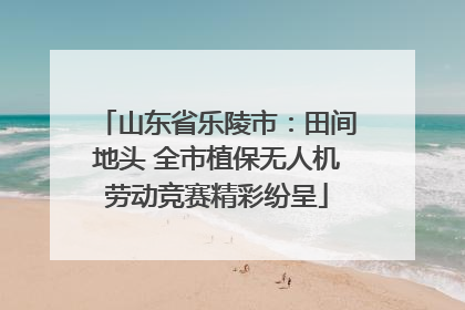 山东省乐陵市：田间地头 全市植保无人机劳动竞赛精彩纷呈