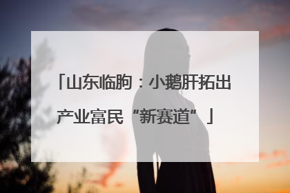 山东临朐：小鹅肝拓出产业富民“新赛道”